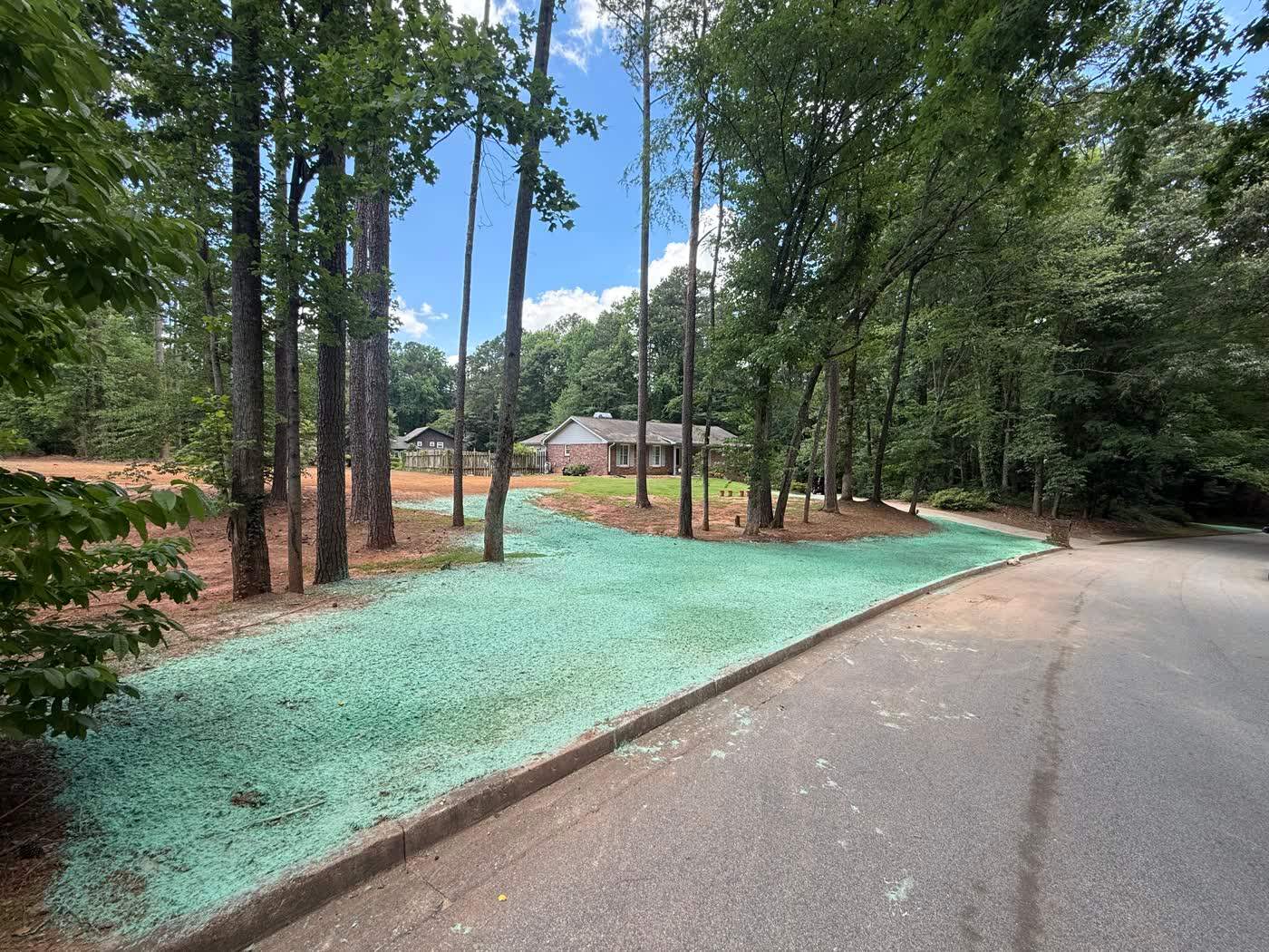 Hydroseed sprayed along the banks of a wooded driveway