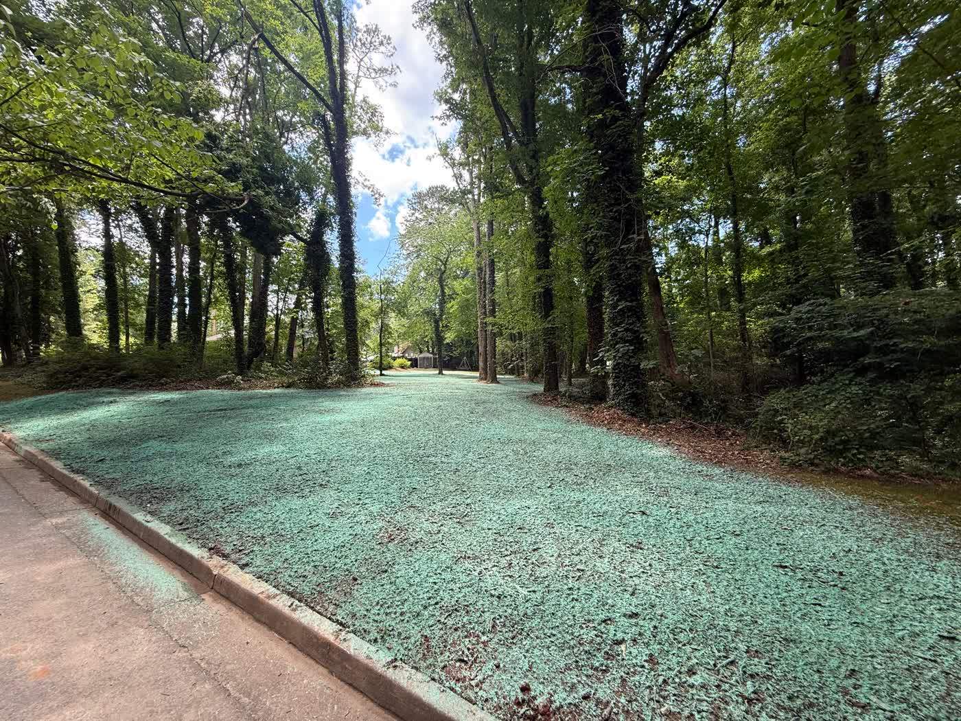 Green hydroseed covering the shoulders of a driveway