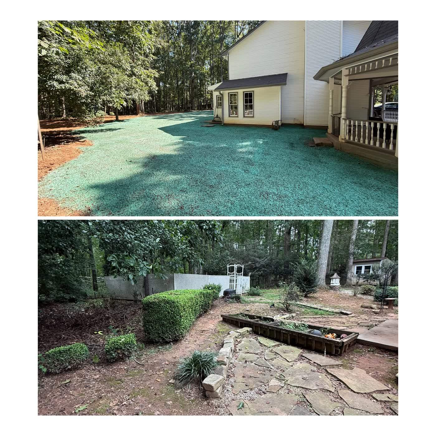 Before and after of a bare bed area brought back to lawn