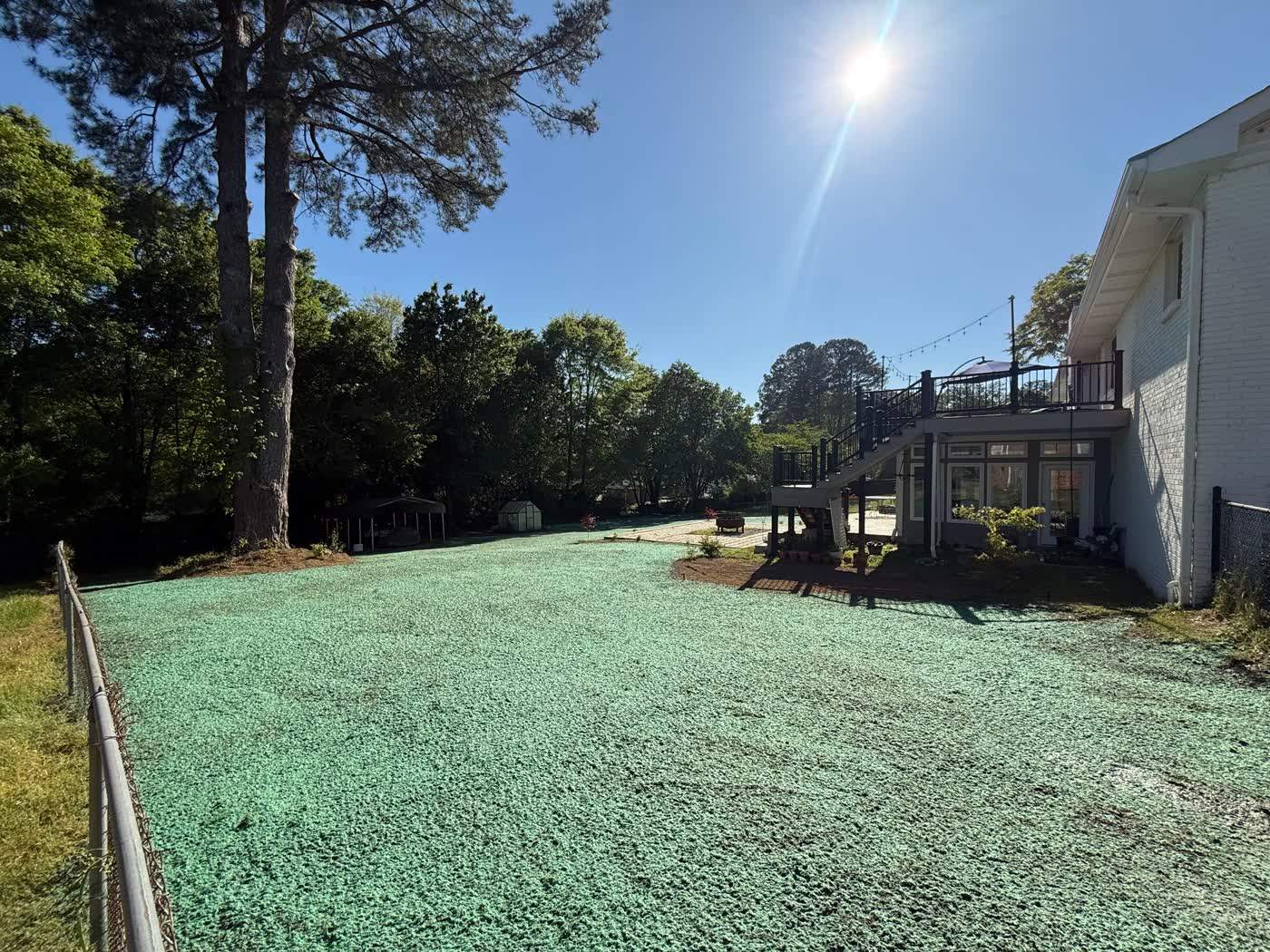 Green hydroseed catching sun across a graded back yard