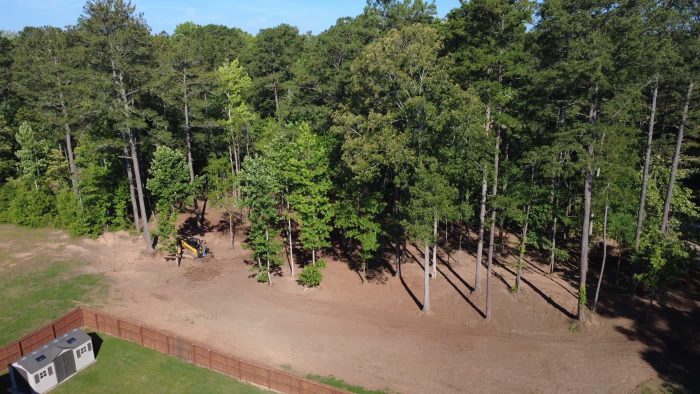 Aerial view of woodland with the underbrush mulched out between the trees