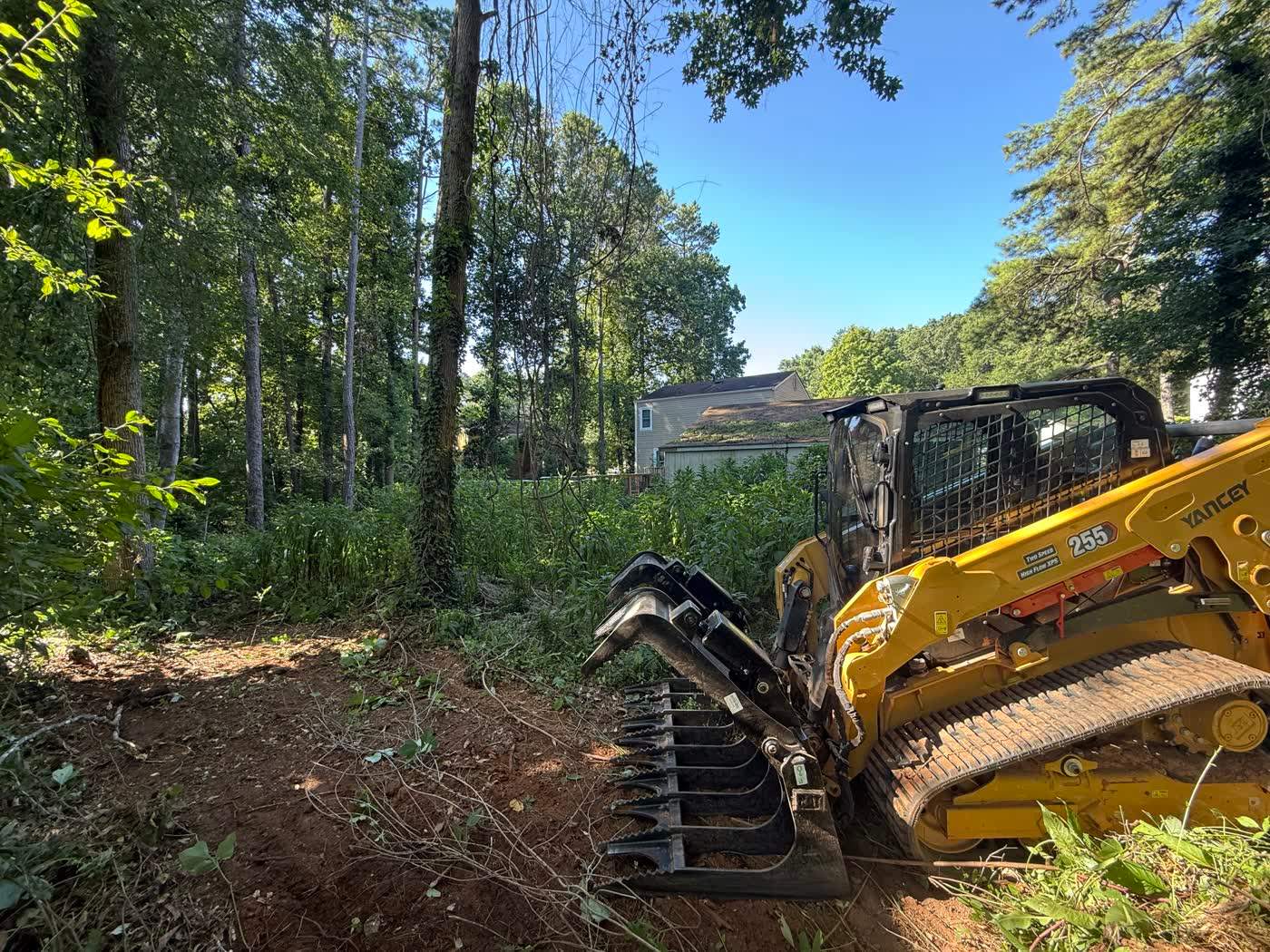 Forestry mulcher attachment on a skid steer working among tall pines