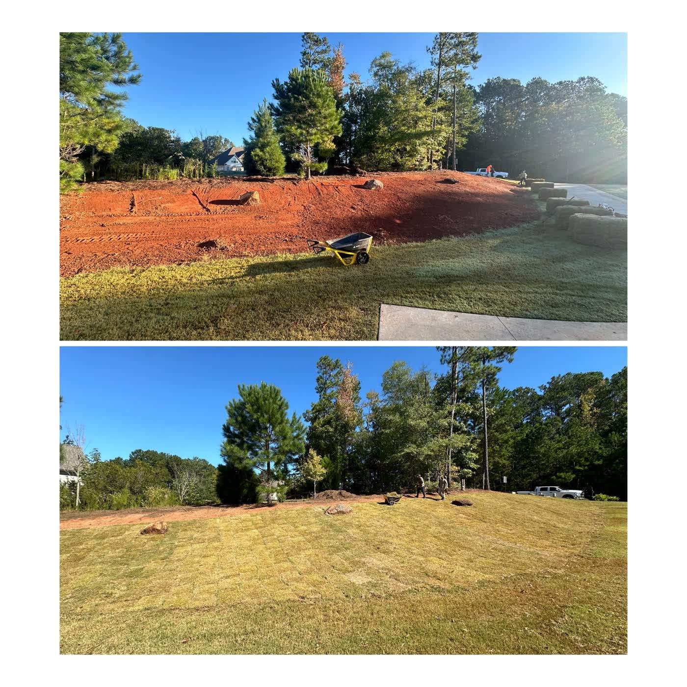 Before and after of a bare clay yard laid with fresh sod