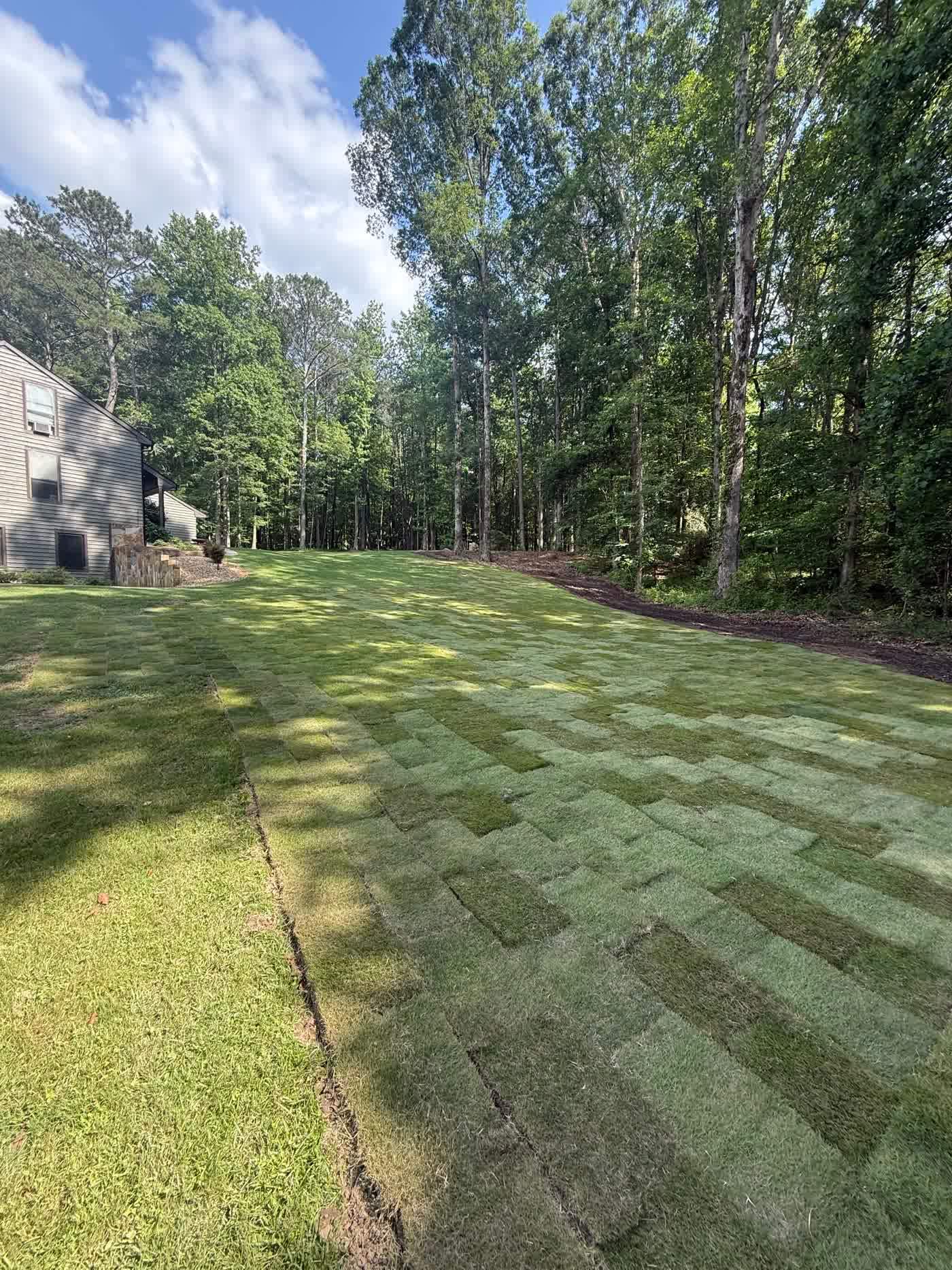 Rows of freshly laid sod strips across a graded yard