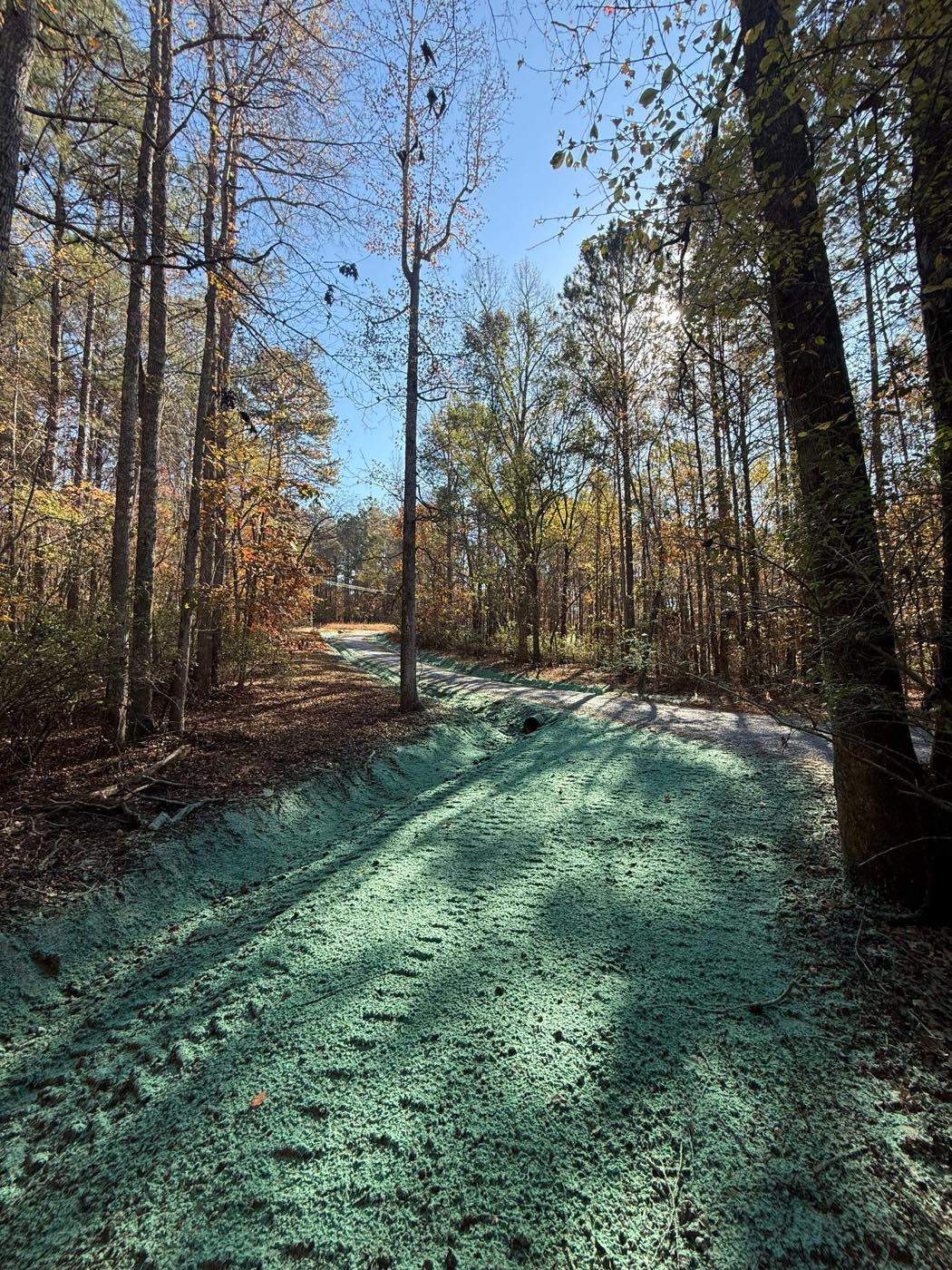 Erosion Control